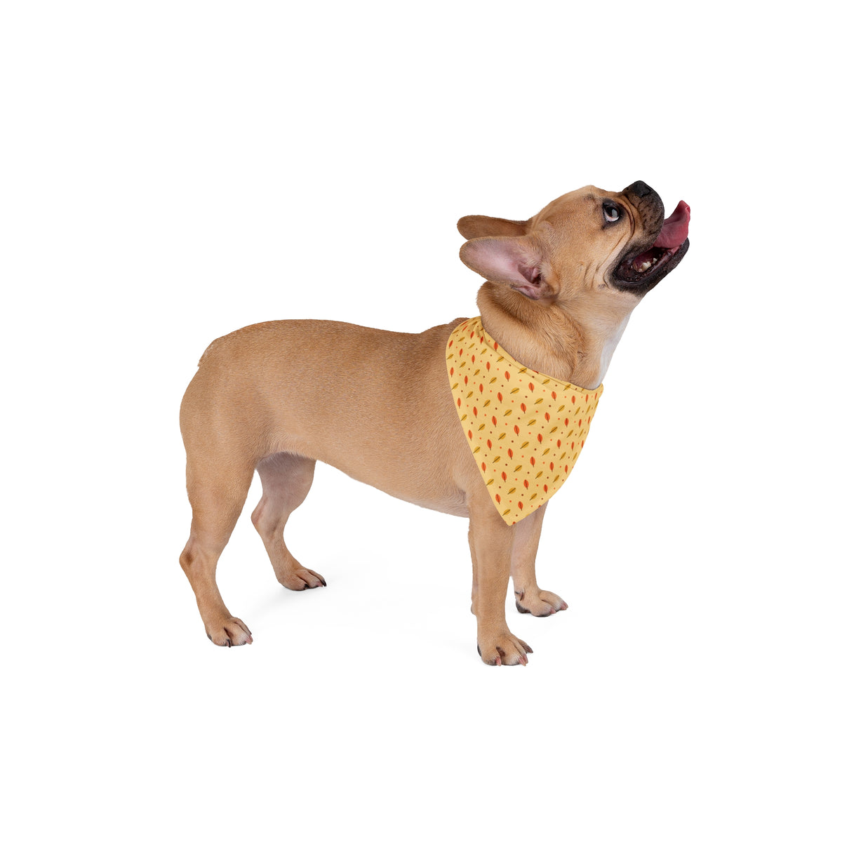 Fall Leaves Dog Bandana