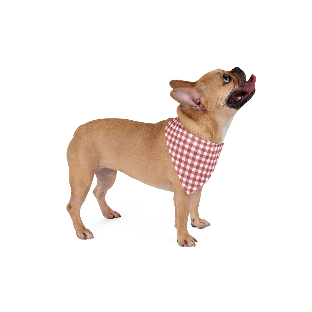 Thanksgiving Gingham Dog Bandana